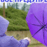 Штормовое предупреждение об опасных гидрометеорологических явлениях - Город Джанкой